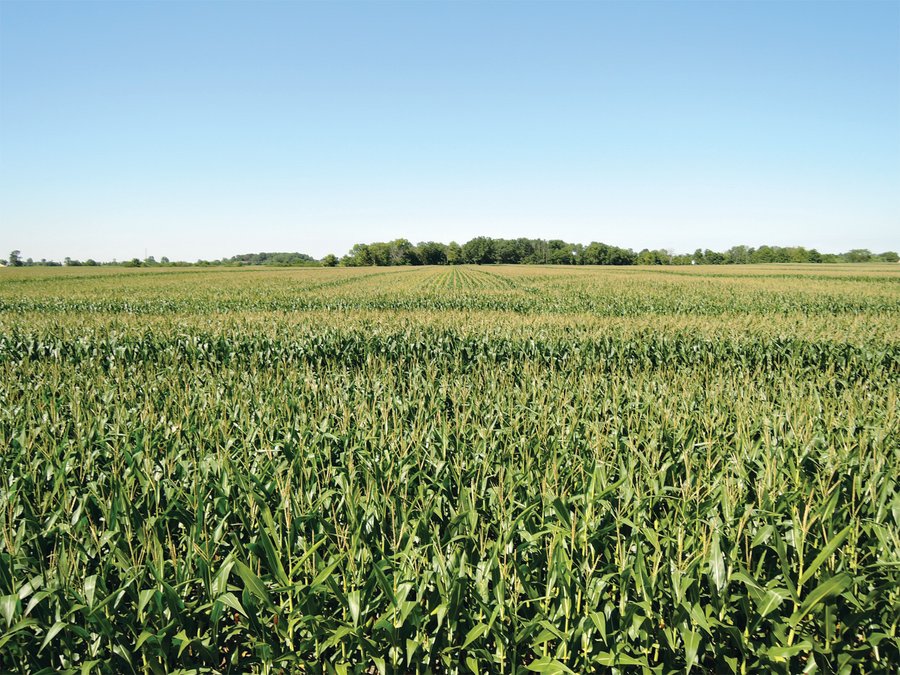 IMPORTANT LAND AUCTION - 492.5+/- ACRES OFFERED IN 14 TRACTS IN DELAWARE COUNTY, INDIANA